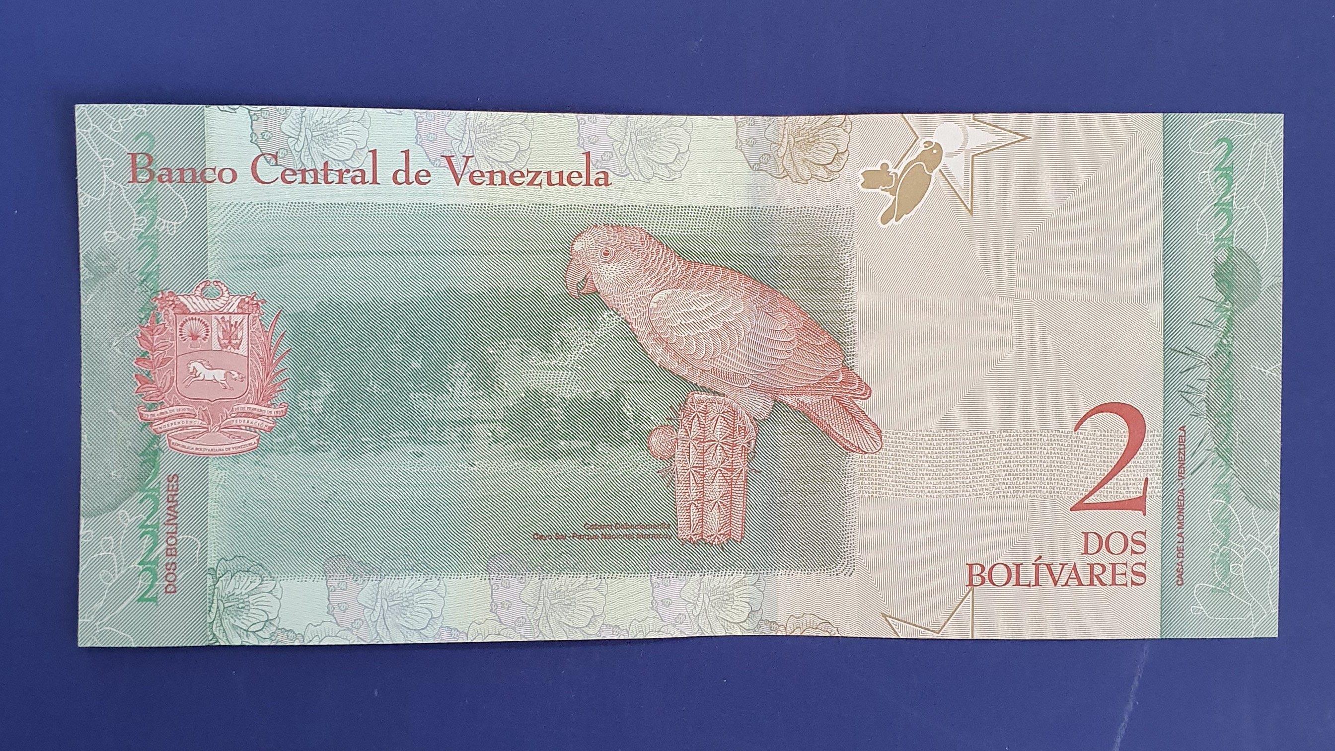 2 Bolivar back