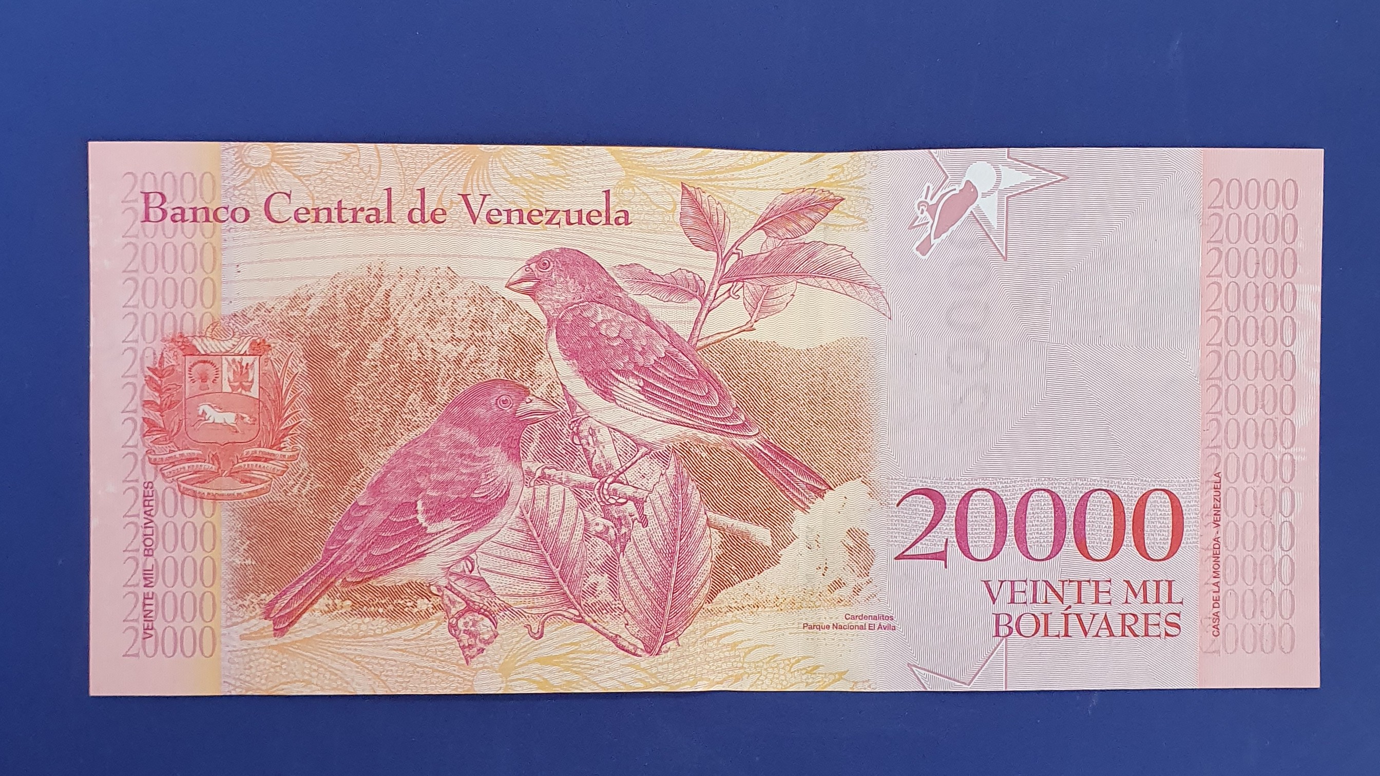 20000 Bolivar back