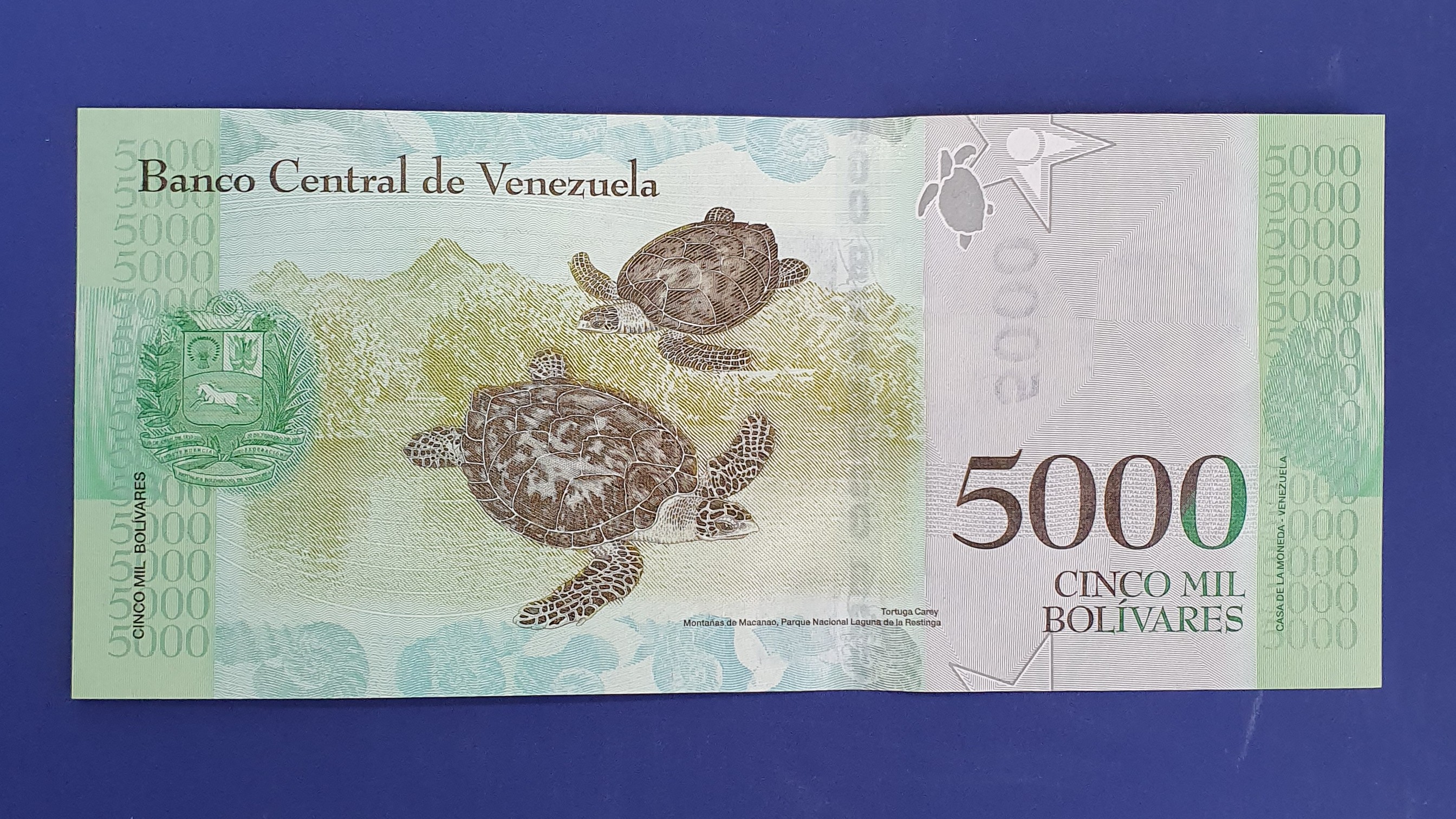 5000 Bolivar back