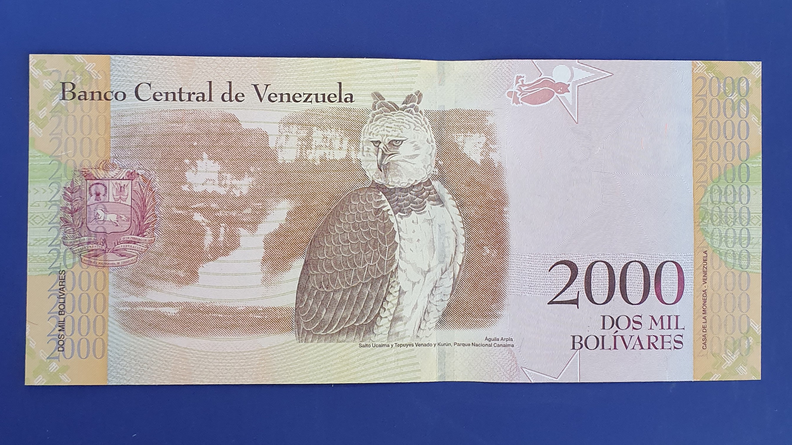 2000 Bolivar back