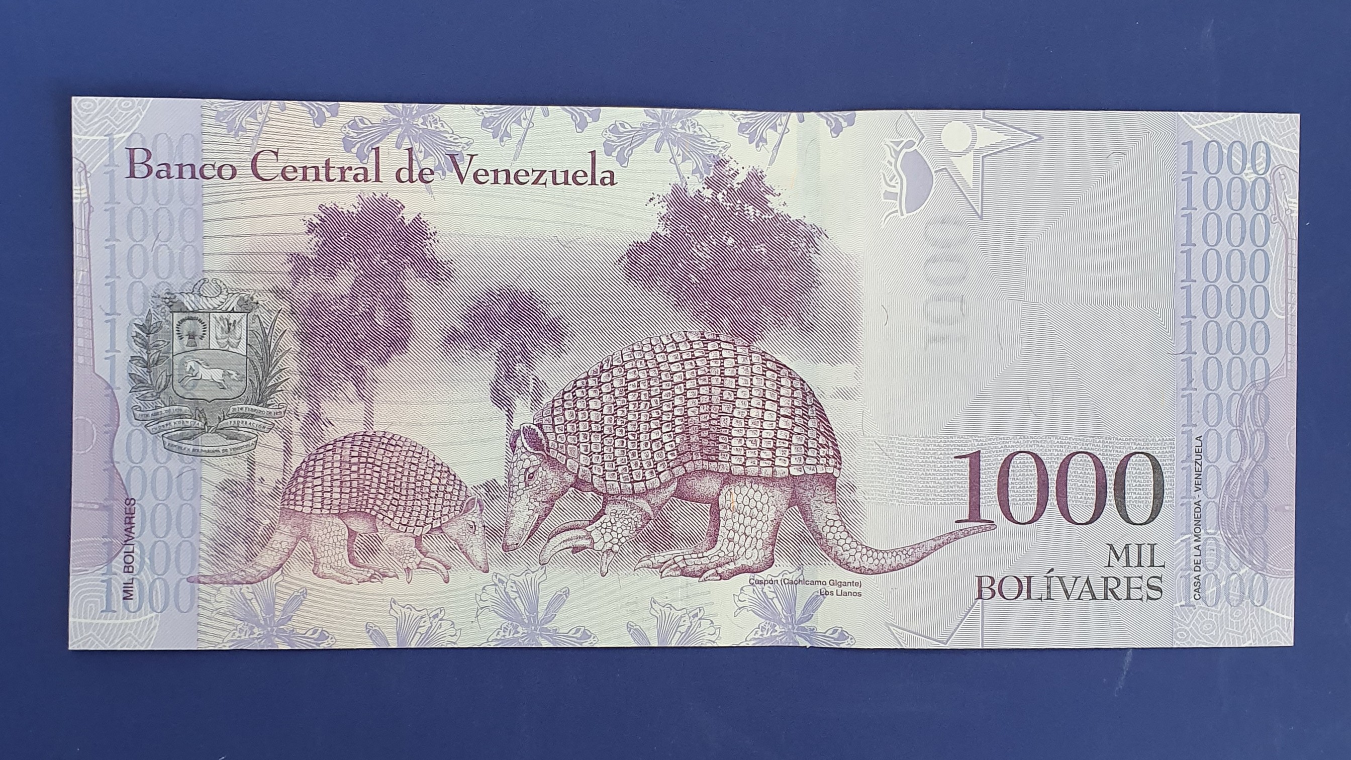 1000 Bolivar back