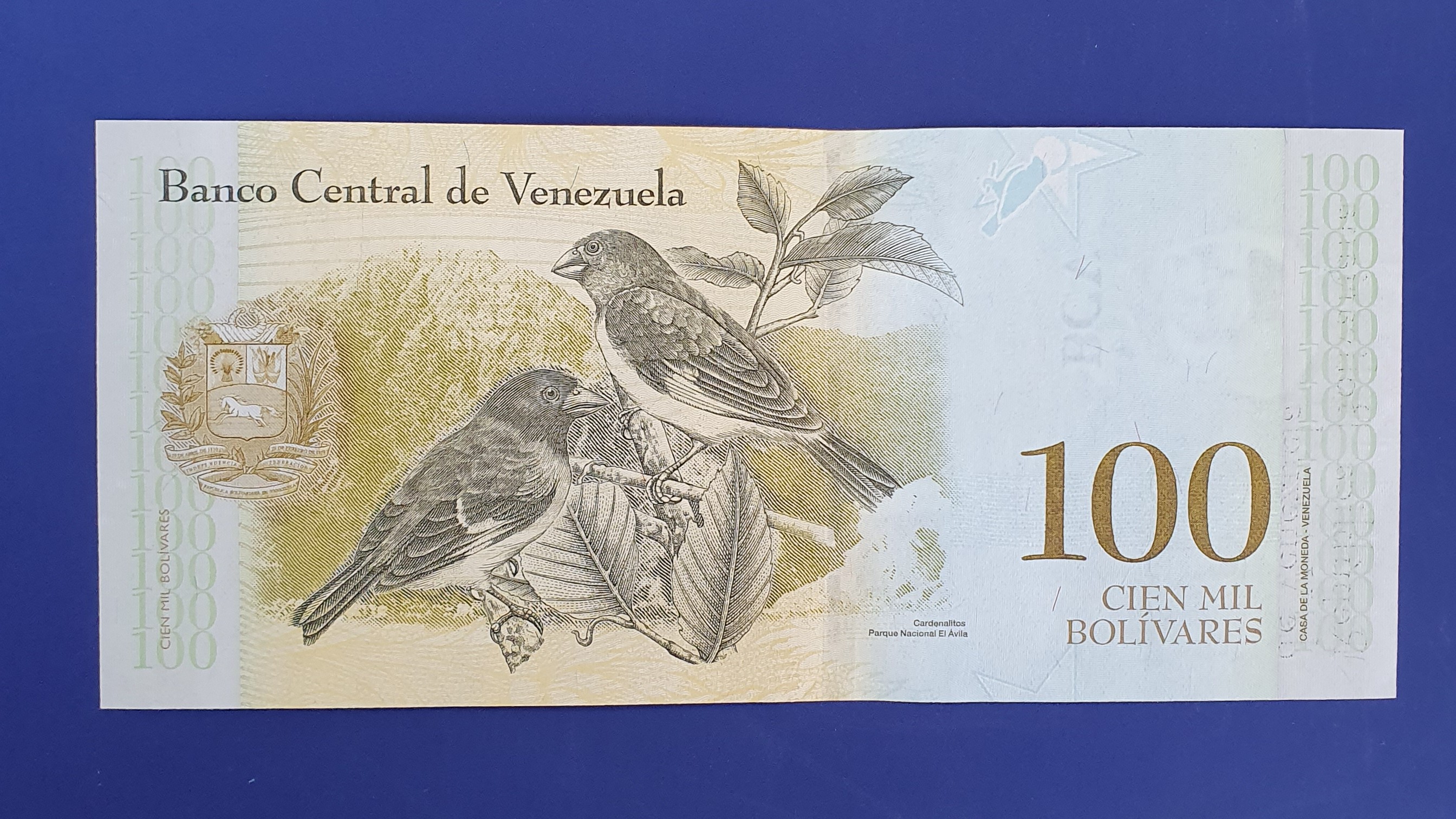 100 Bolivar back