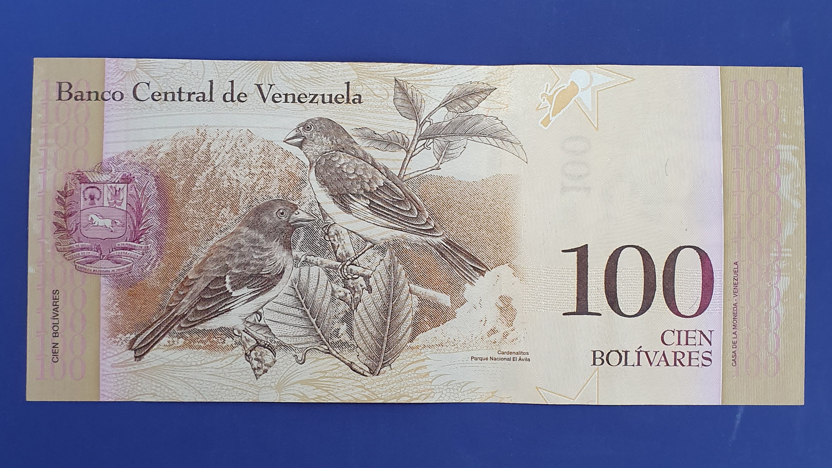 100 Bolivar back