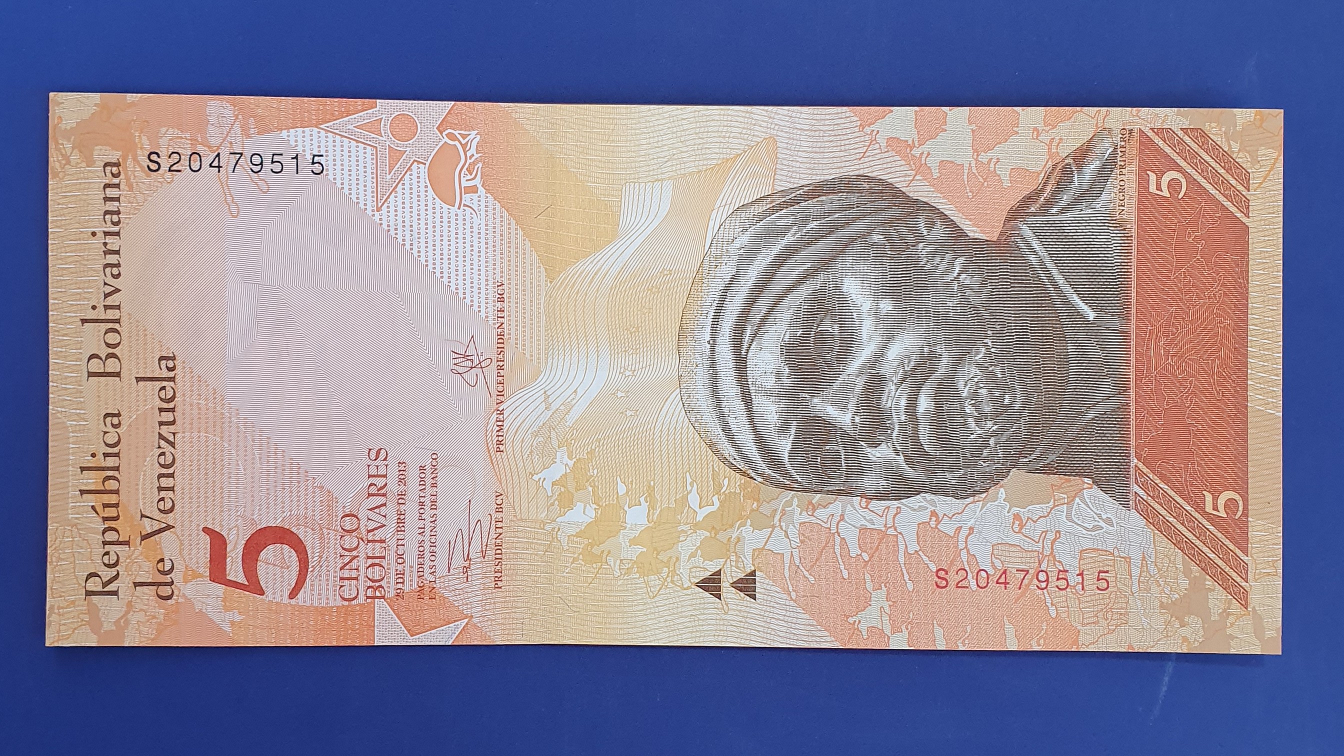 5 Bolivar front
