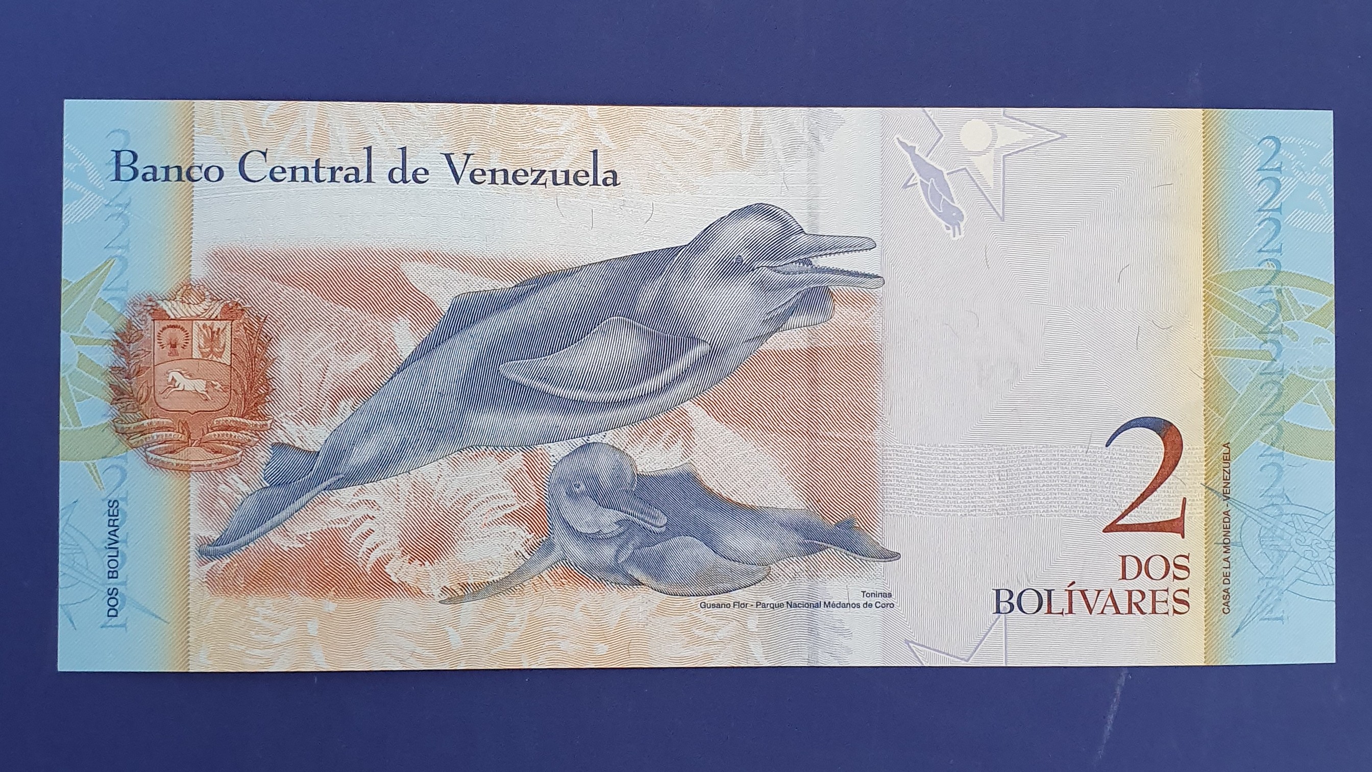 2 Bolivar back