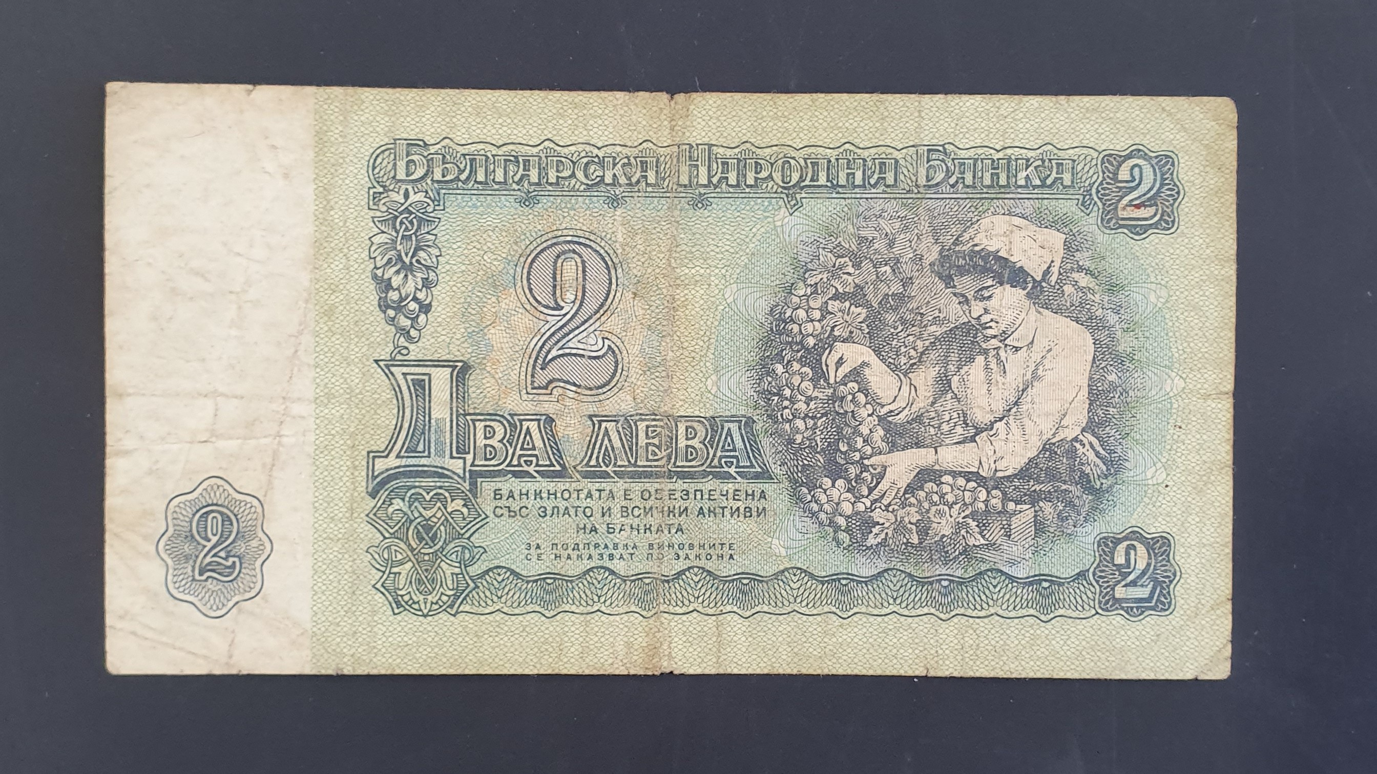 2 Lev back