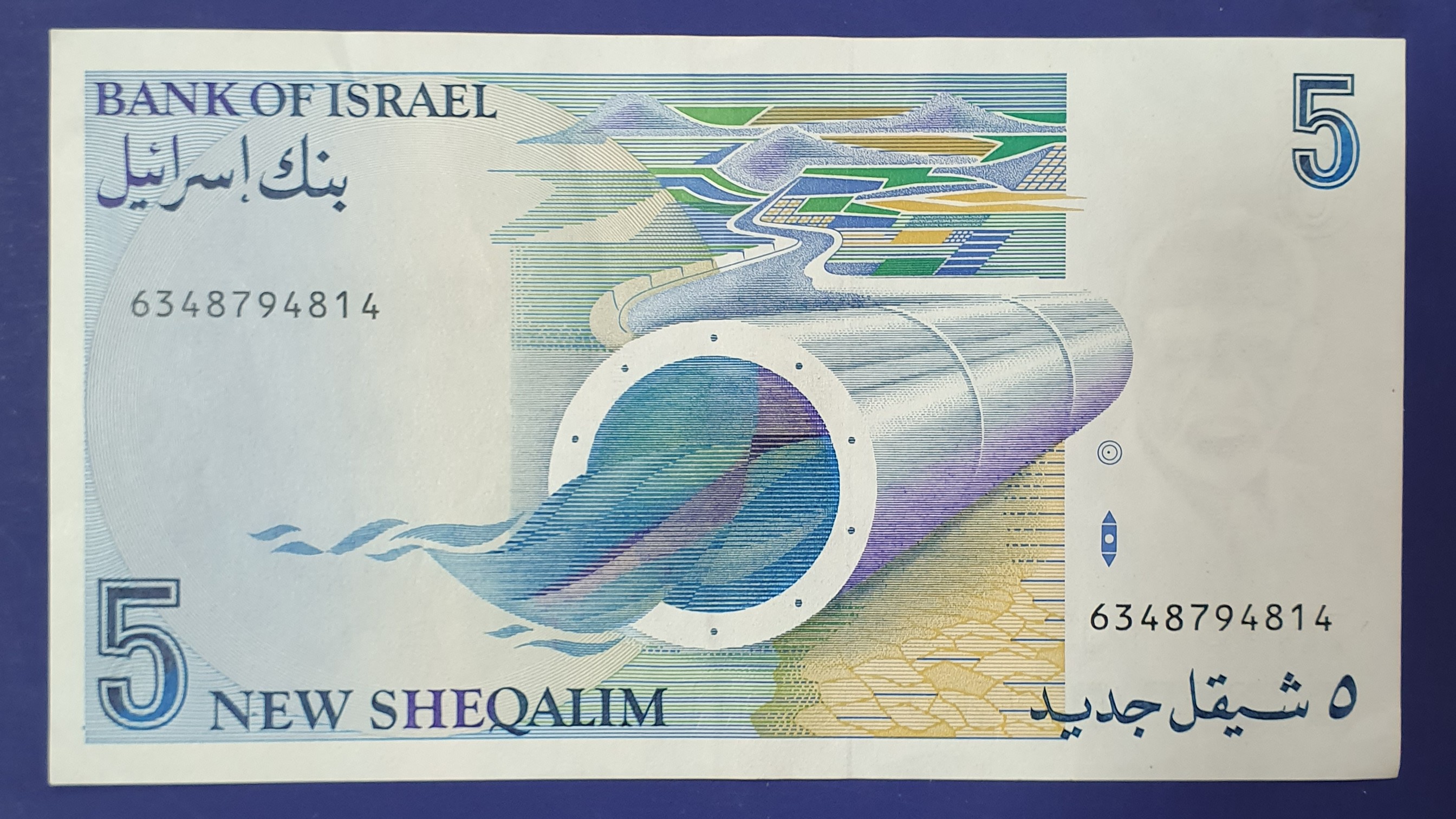 5 New shekel back