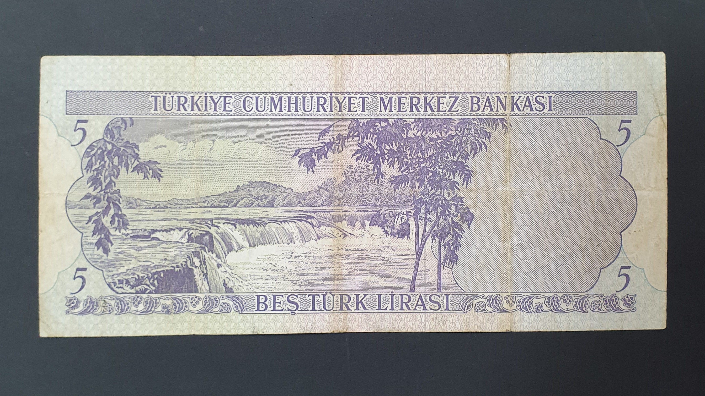 5 Lira back