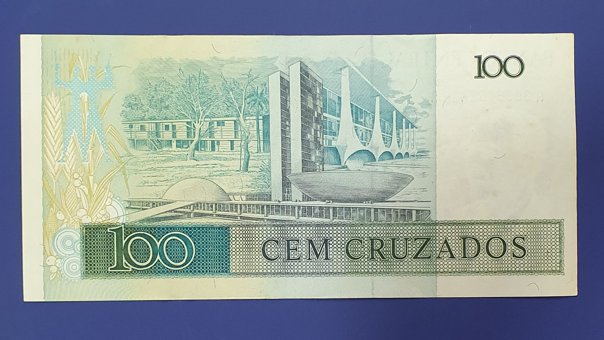 100 Cruzado back