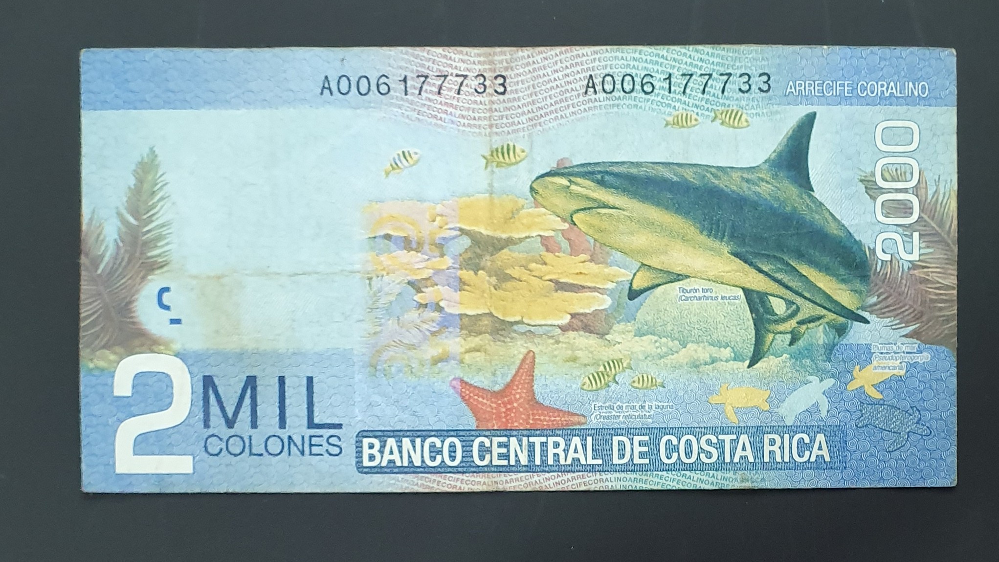 2000 Colon back