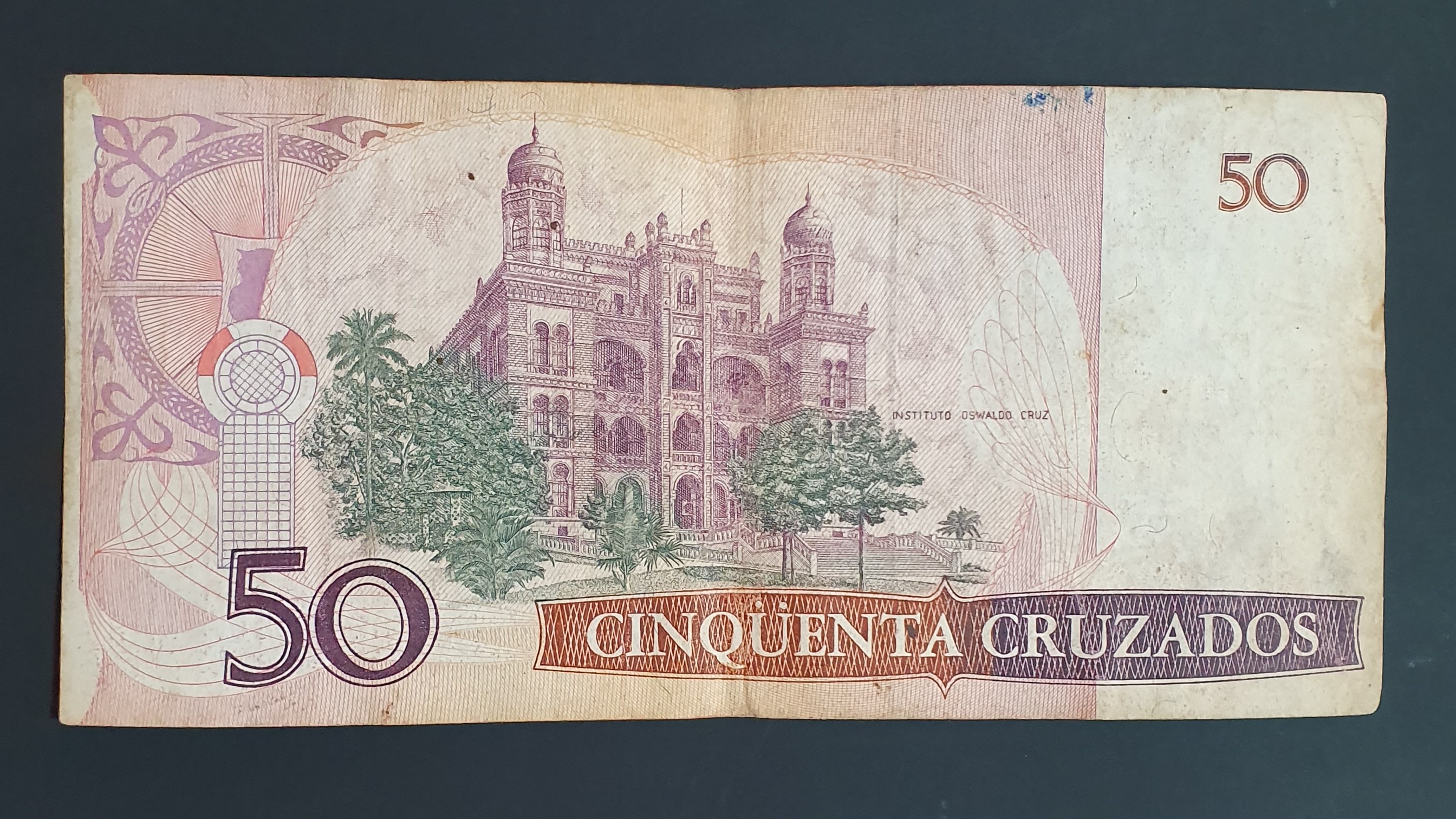 50 Cruzado back