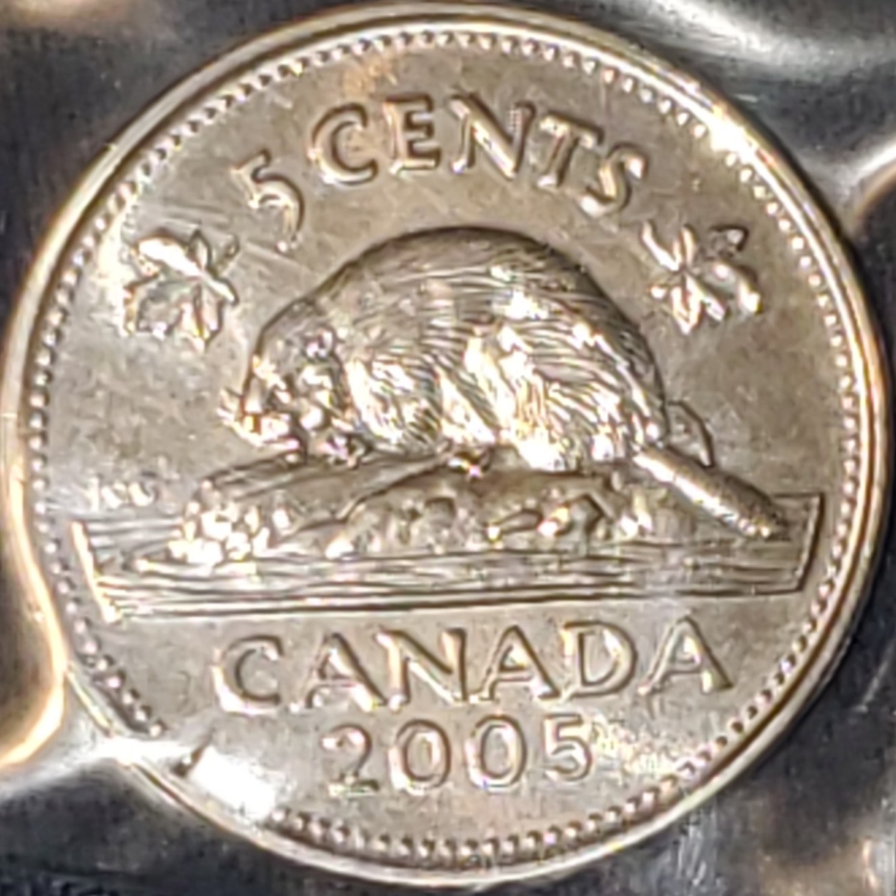 5 Cent back