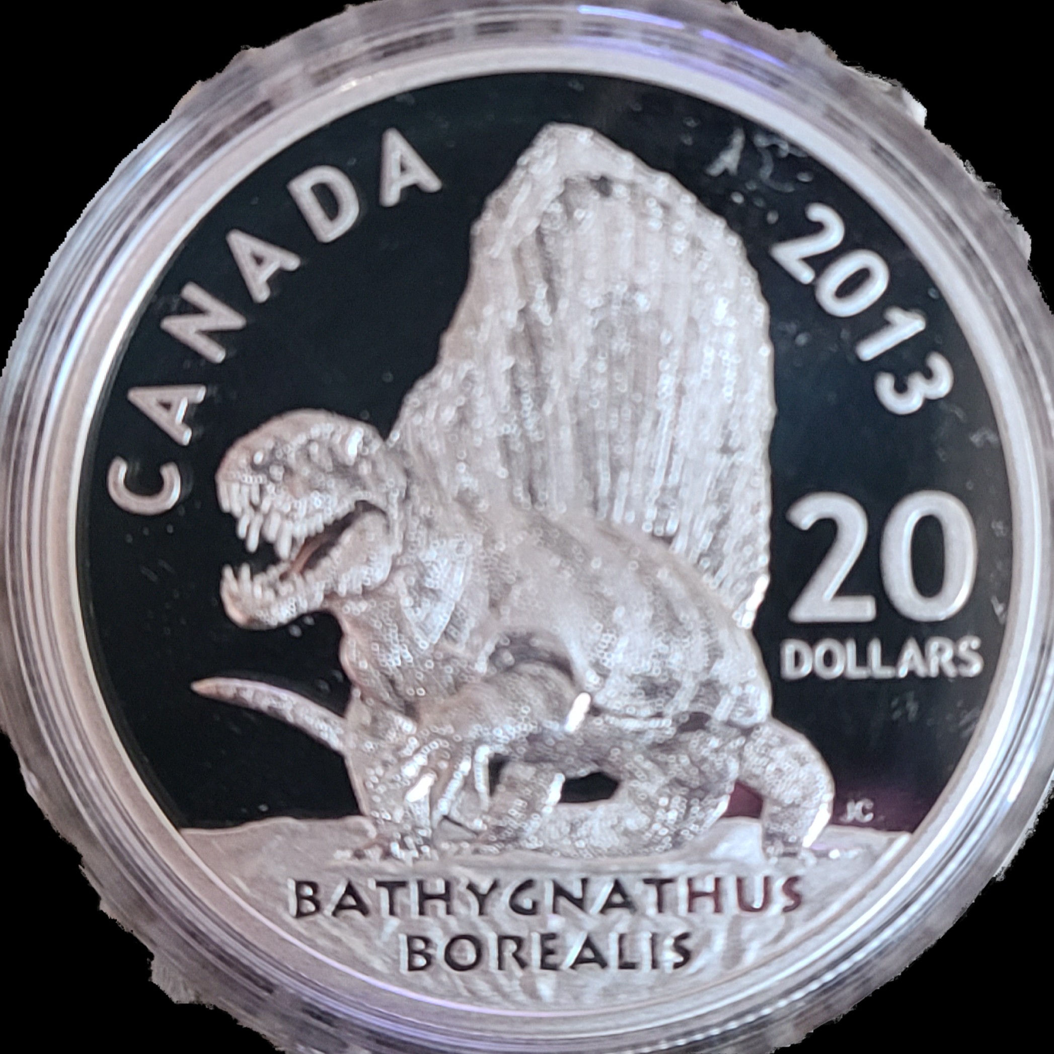 20 Dollar back