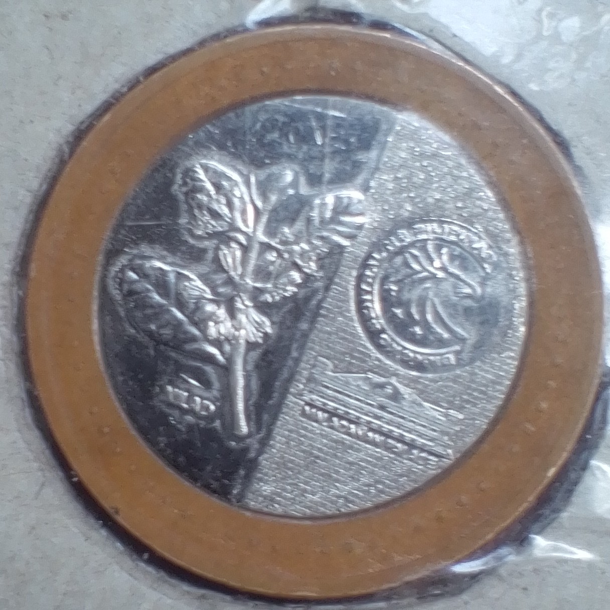 20 Peso front