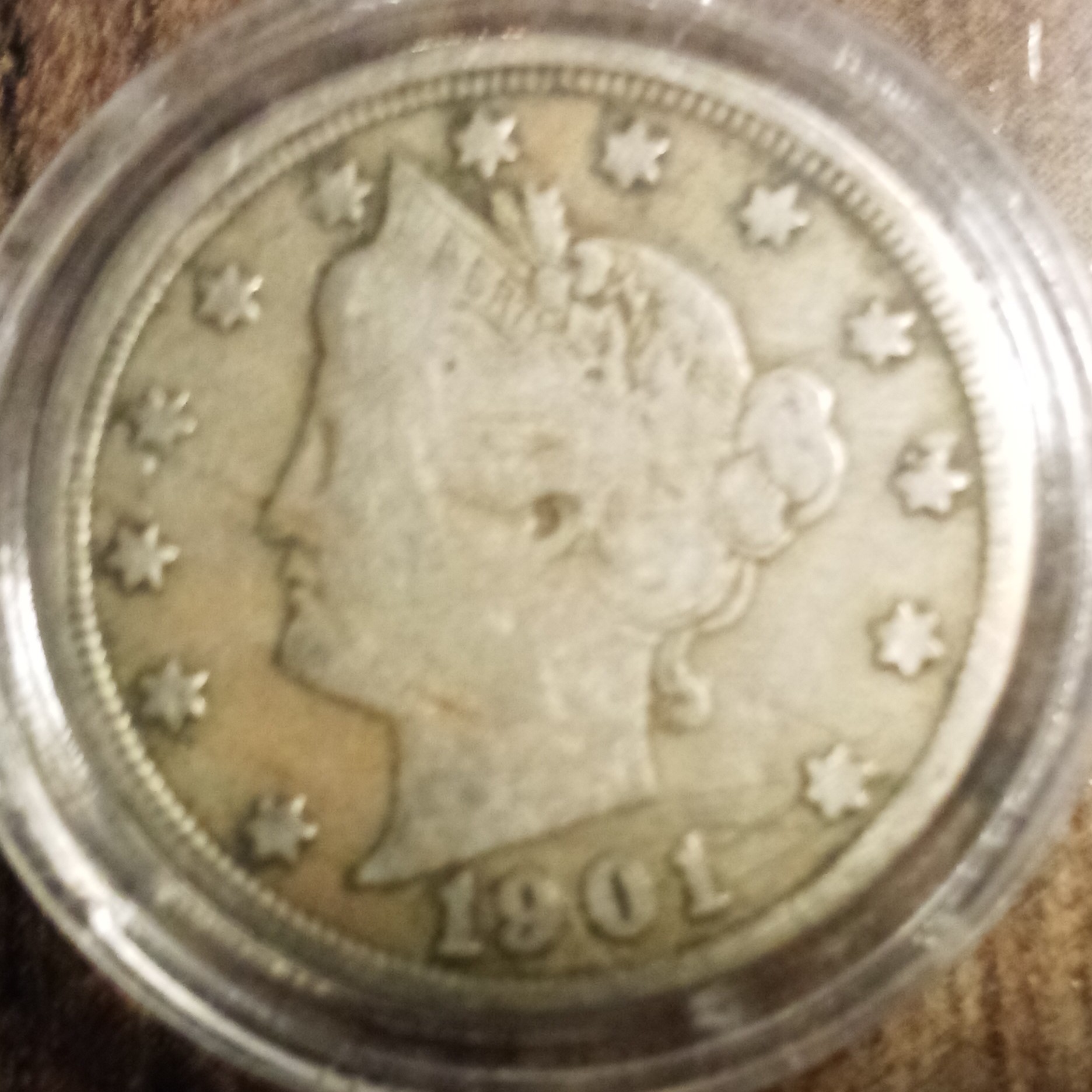 5 Cent back