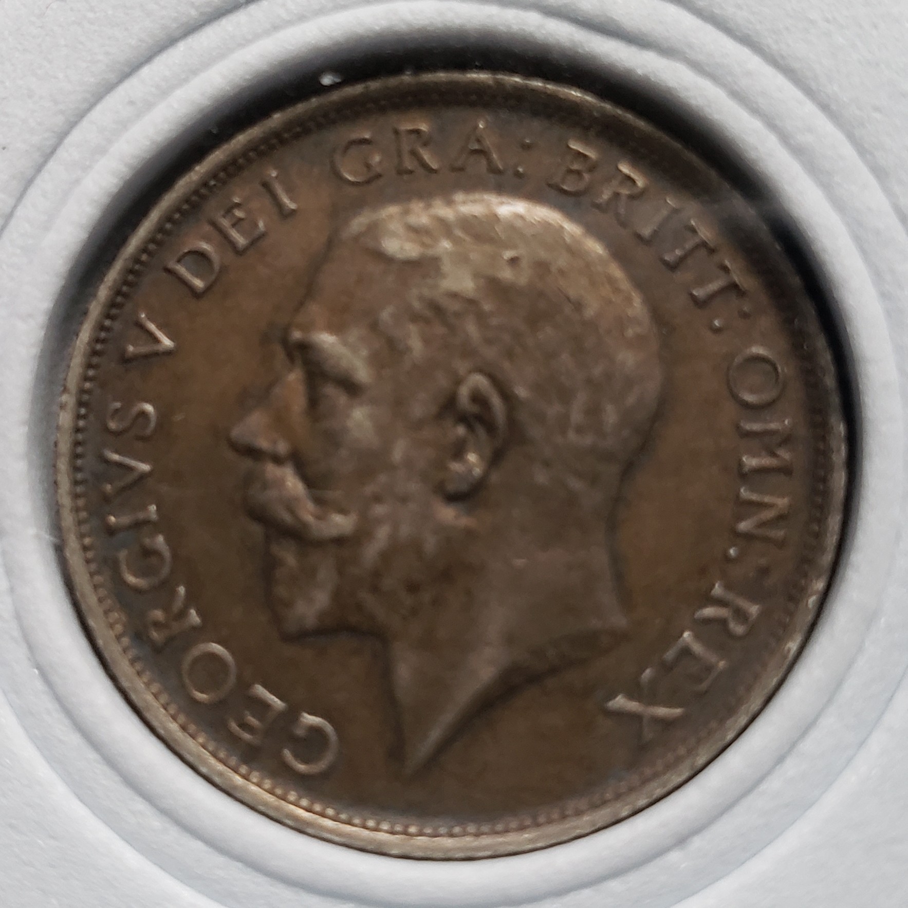 1 Shilling back