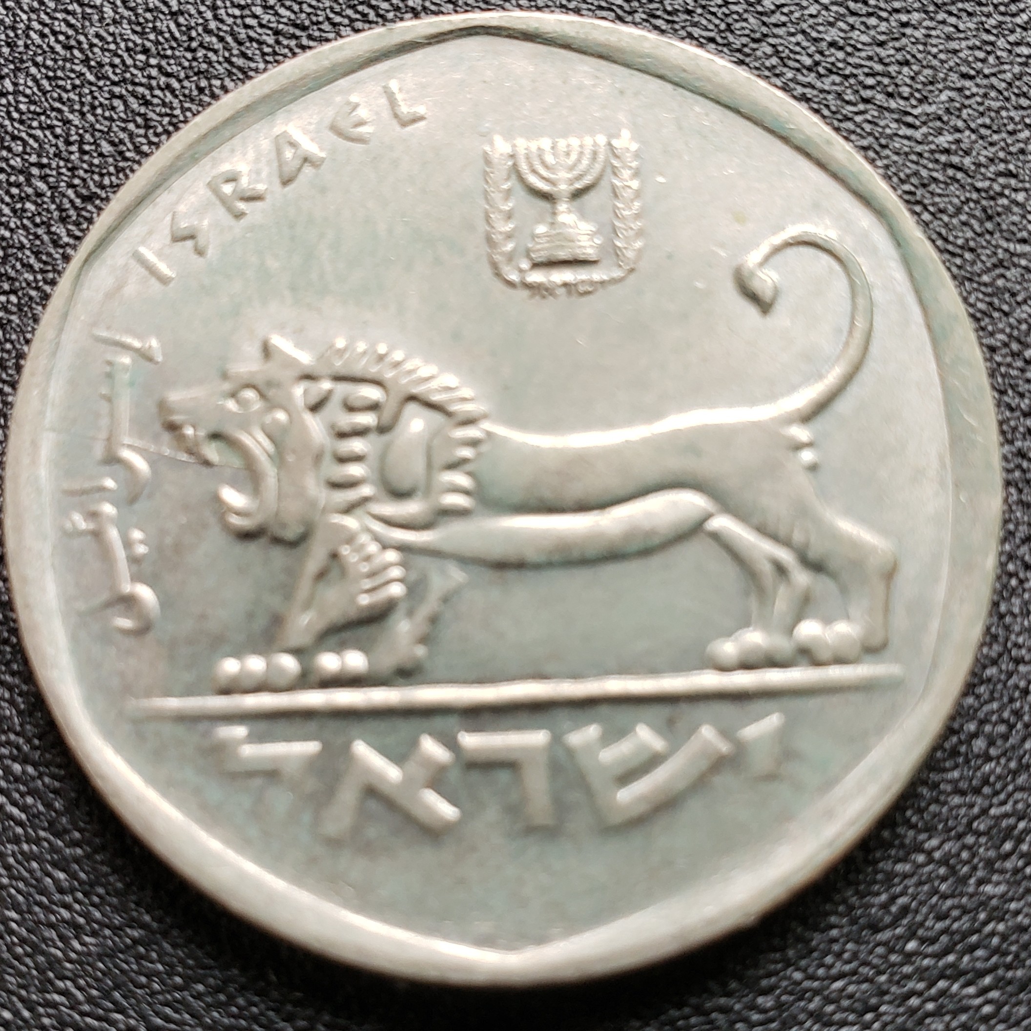 5 Lira front