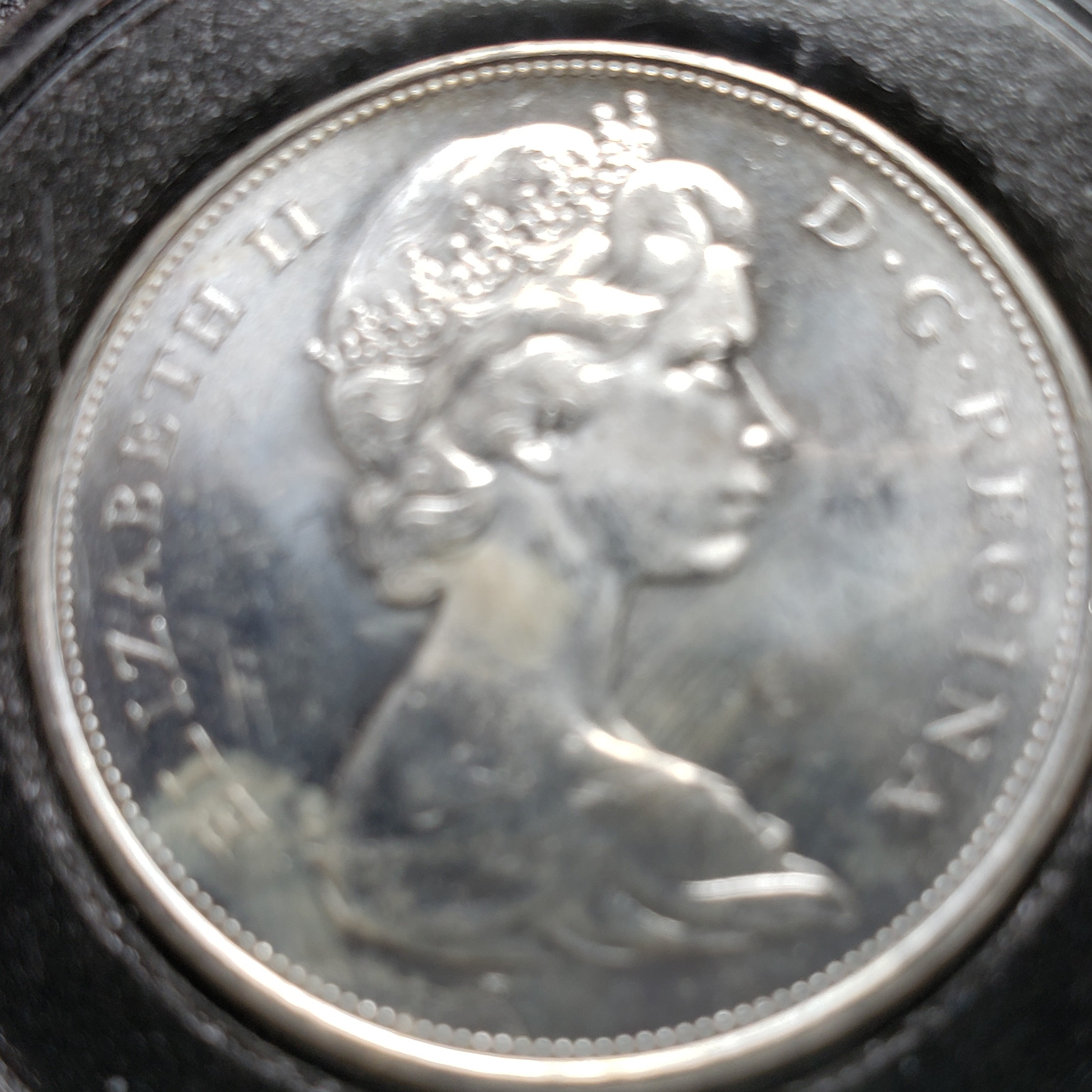 50 Cent front