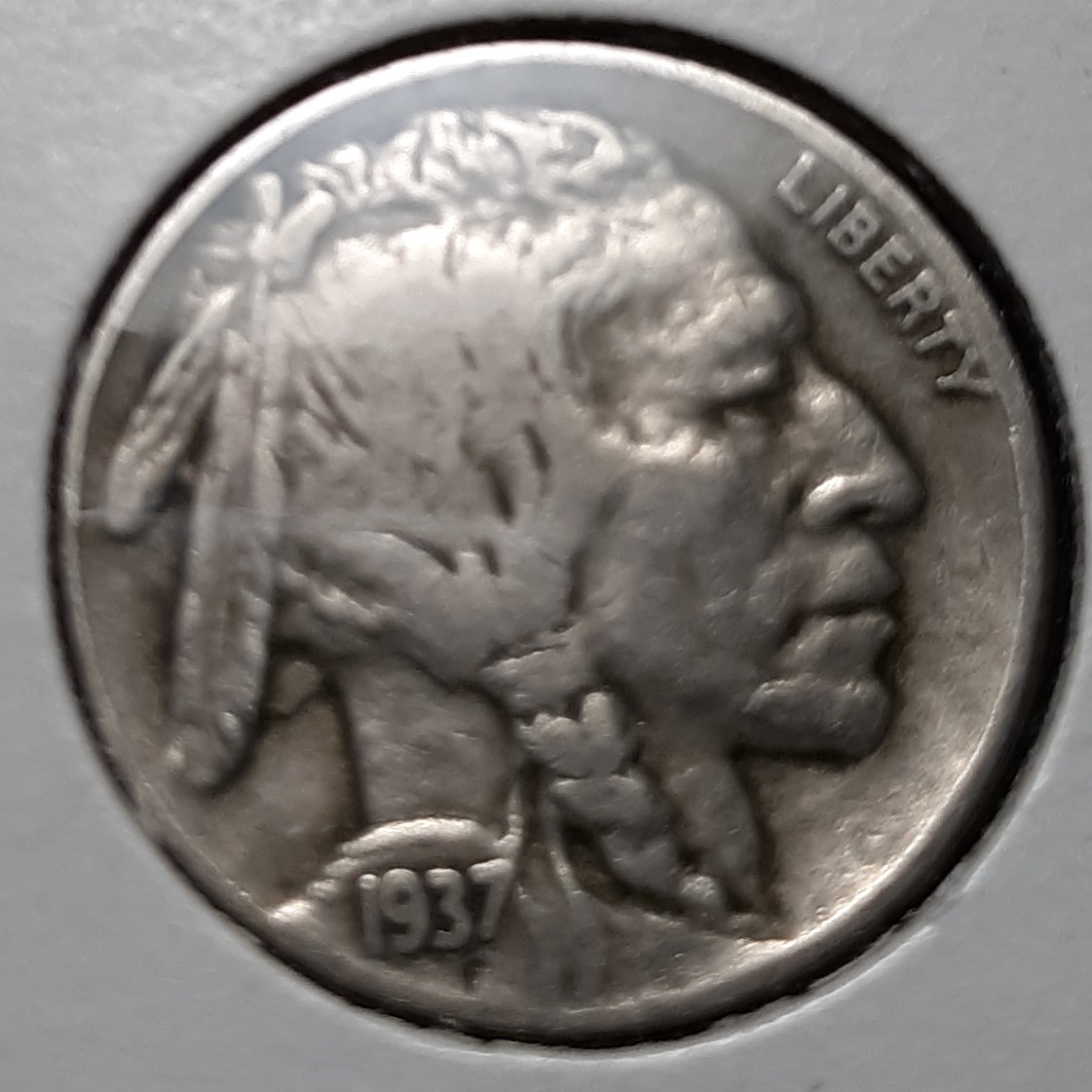 5 Cent back
