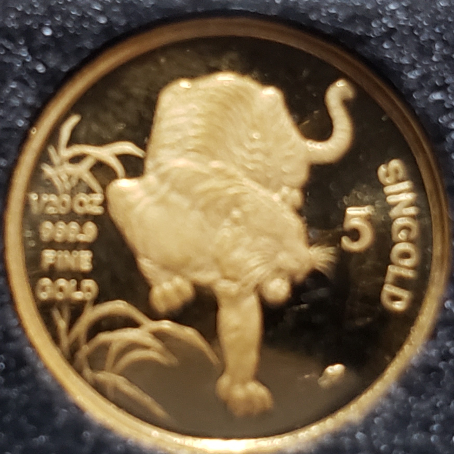 5 Singold back