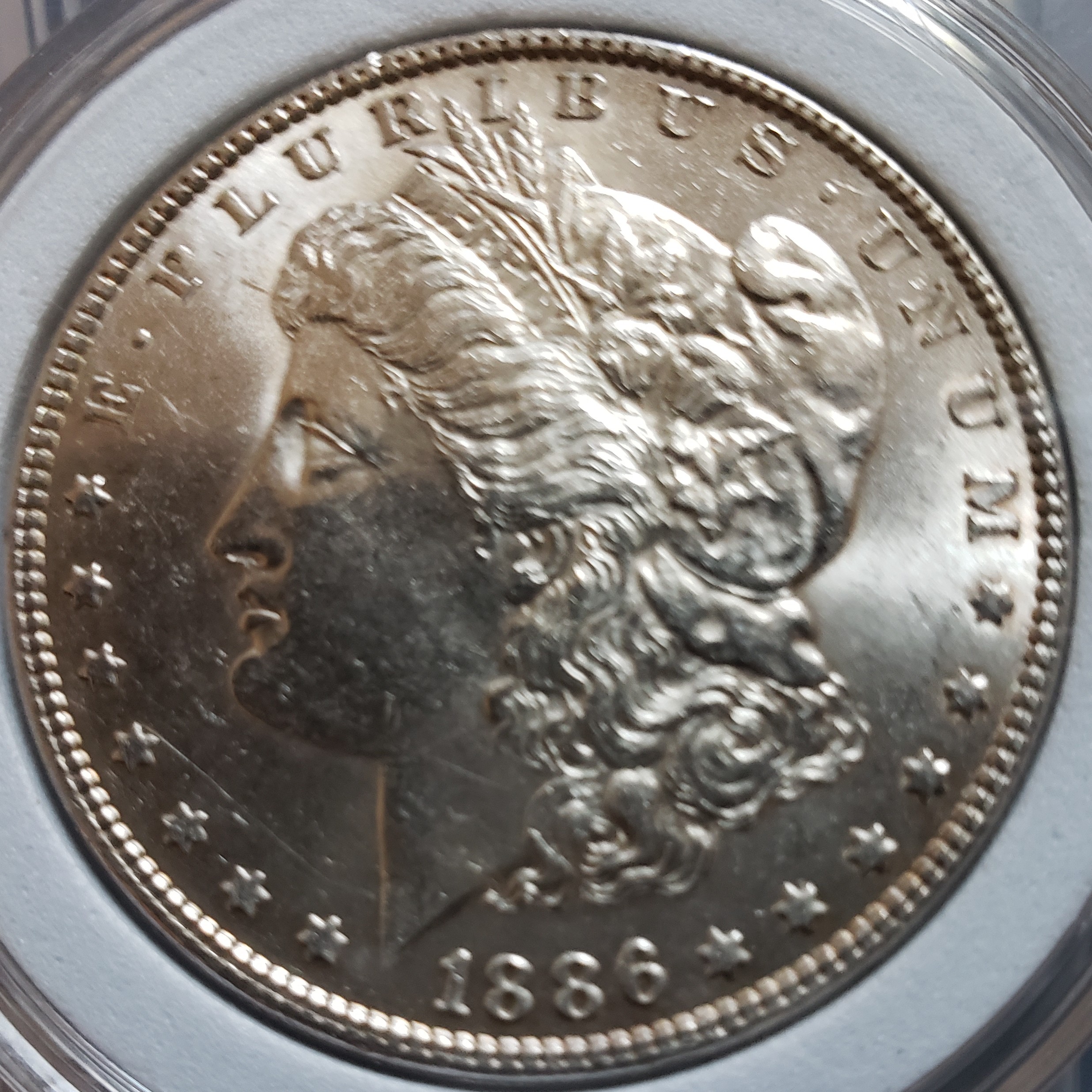1 Dollar back
