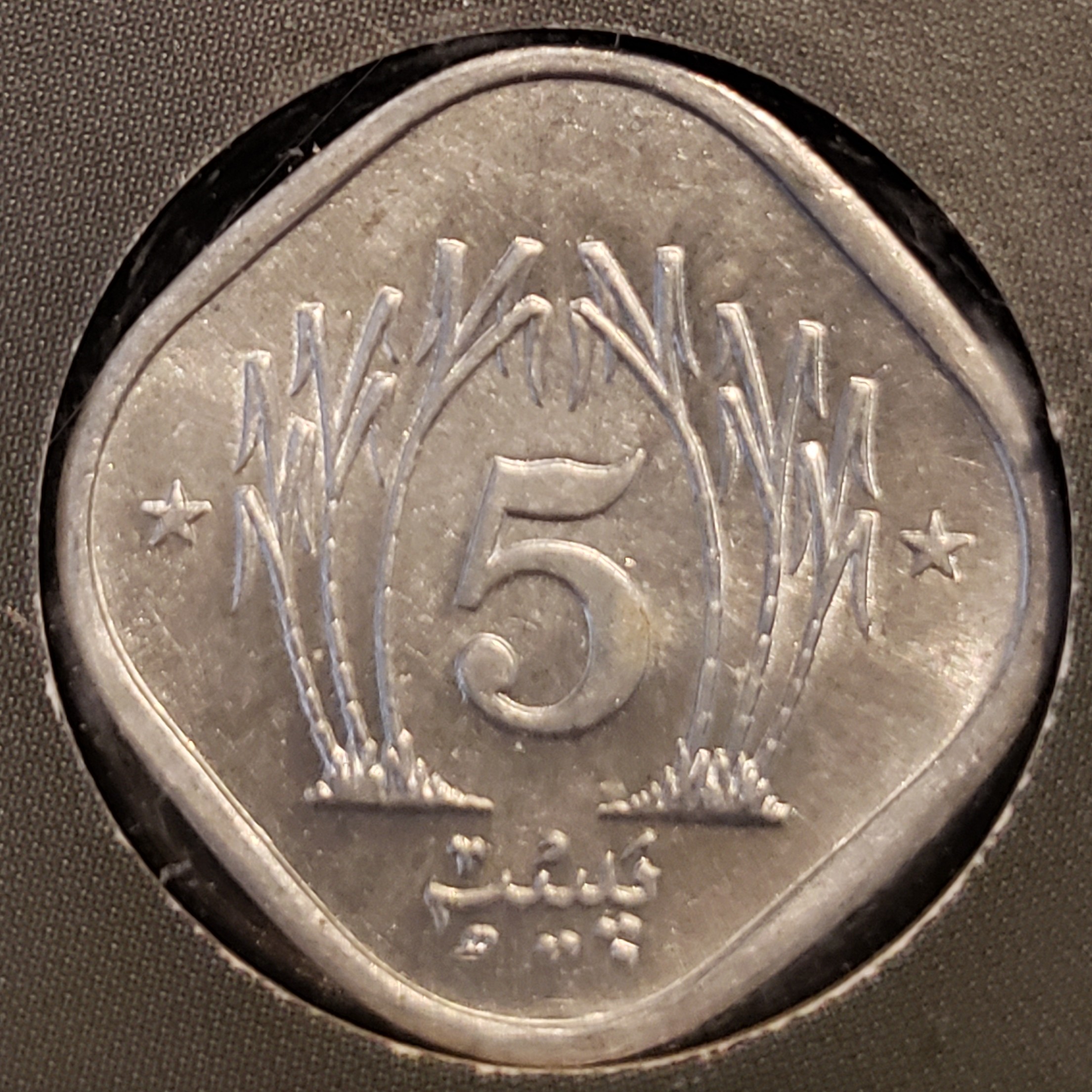 5 Paisa front