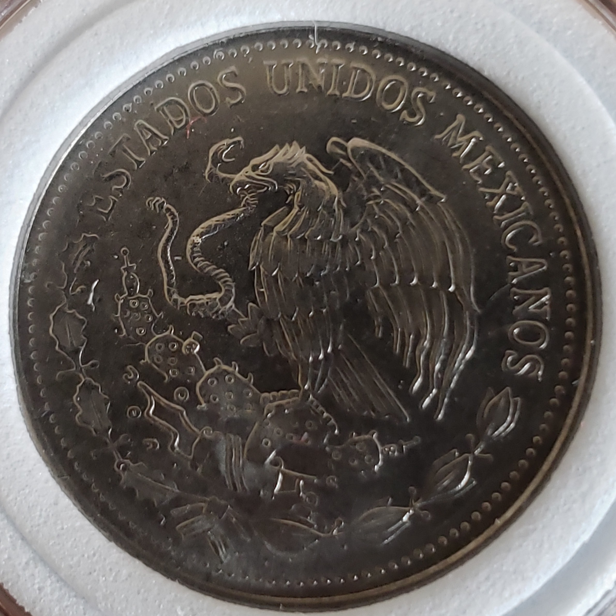 50 Peso front