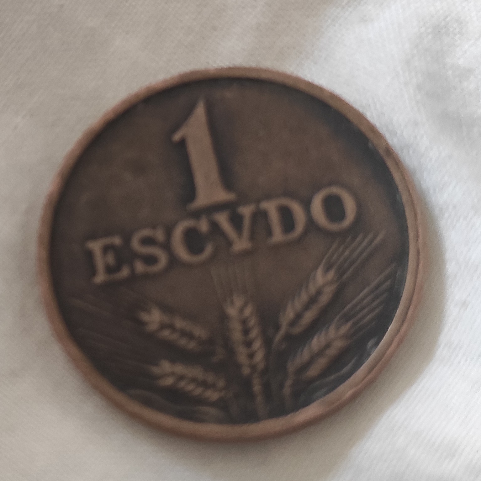 1 Escudo back