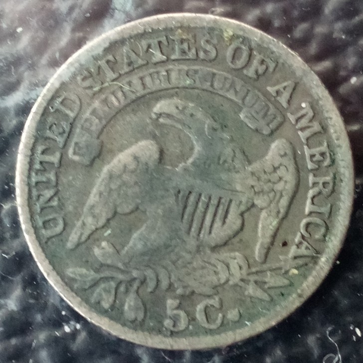 5 Cent back