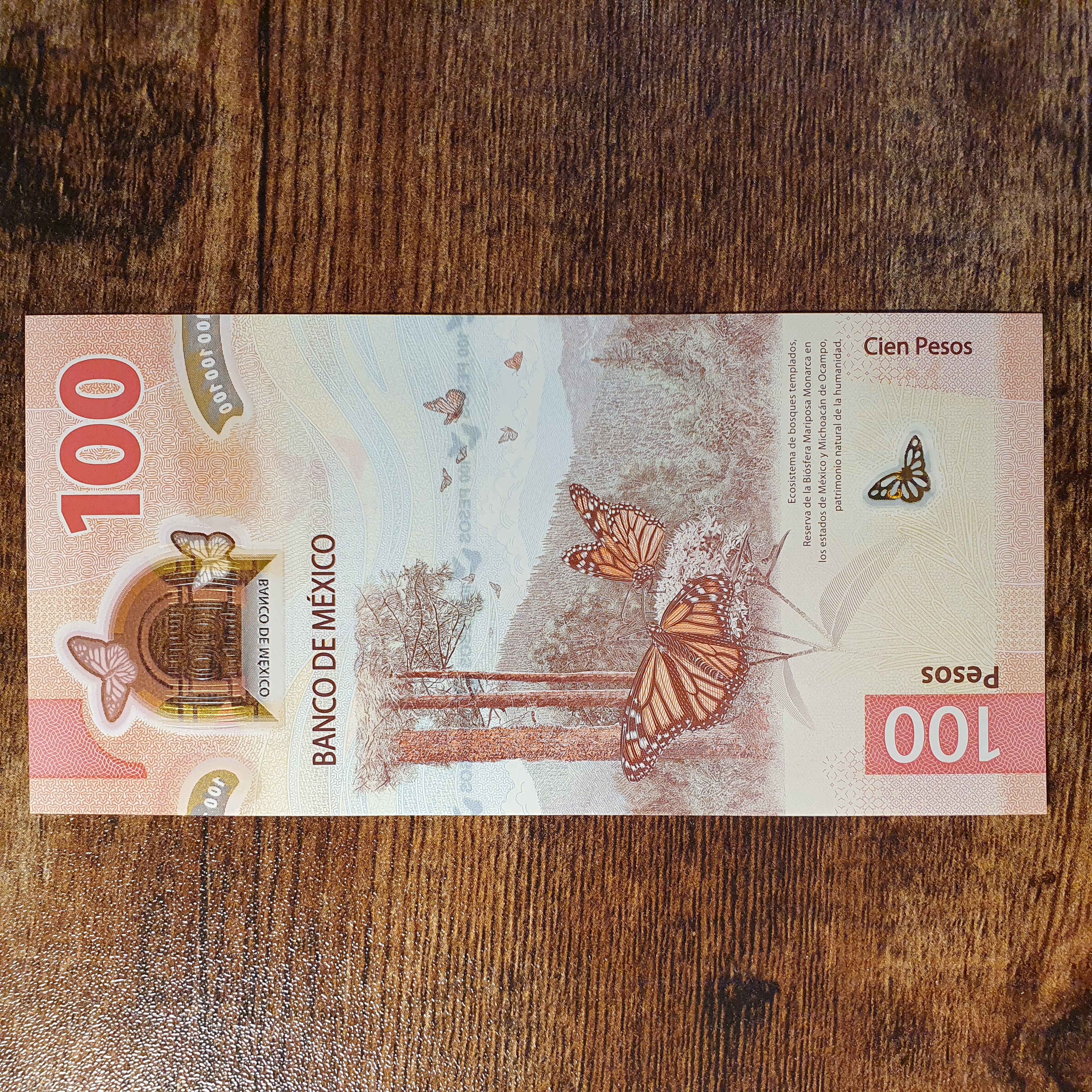 100 Peso back