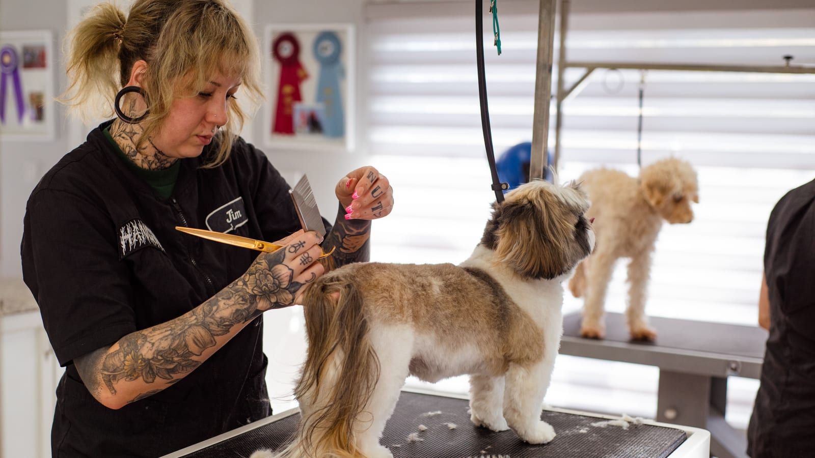 Ruggiero Dog Training