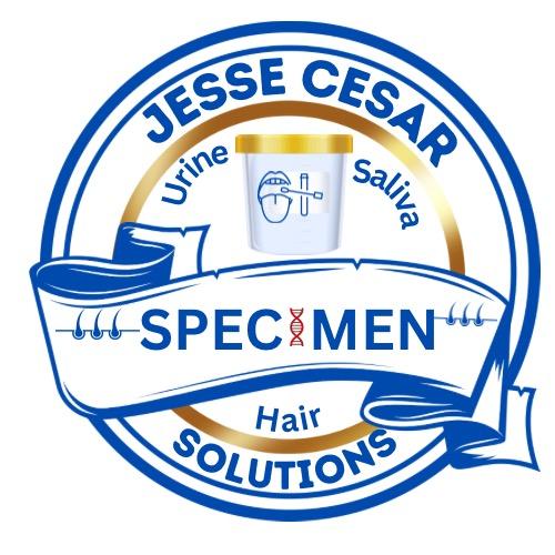 Jesse Cesar Solutions Inc logo