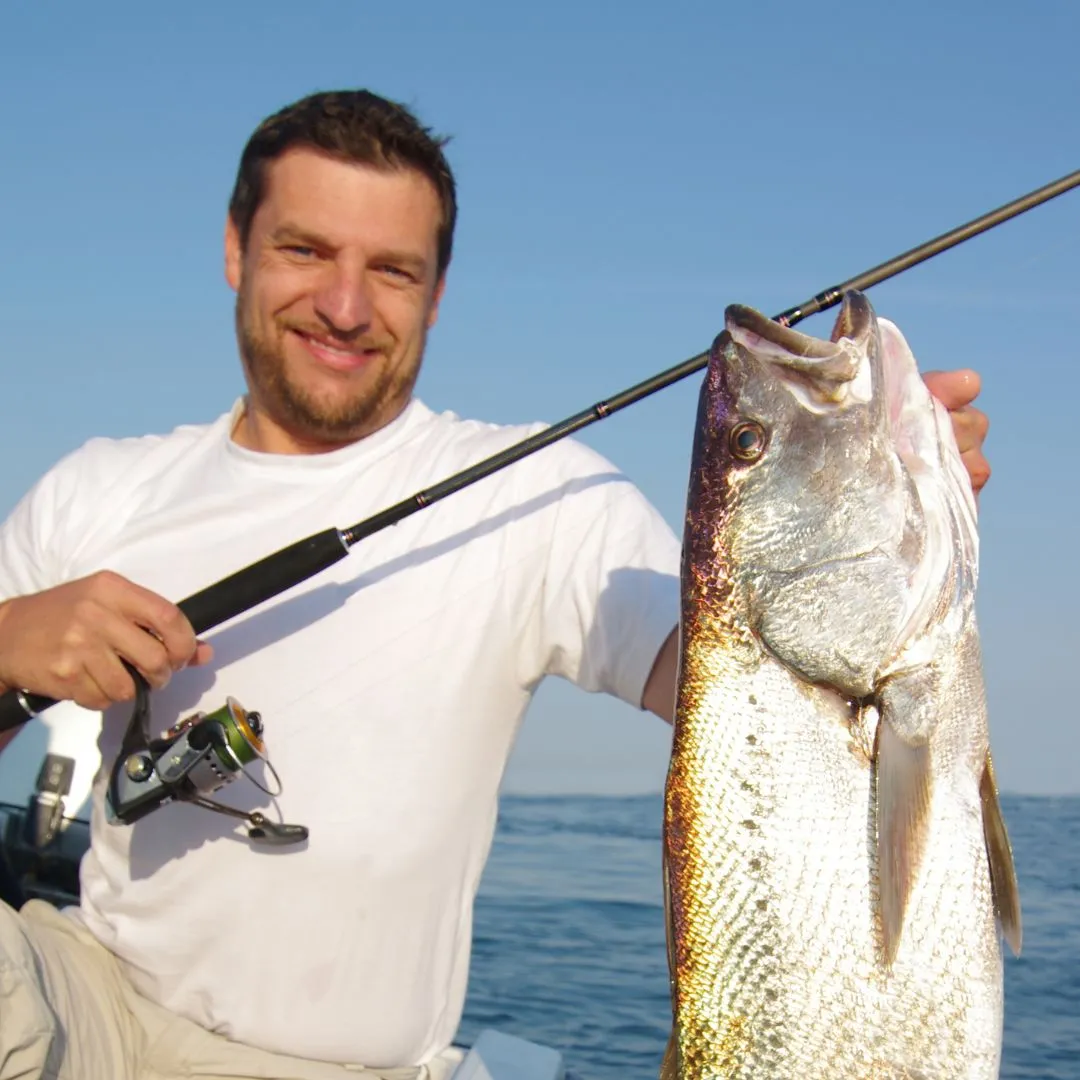 Dubai Deep Sea Fishing Adventures