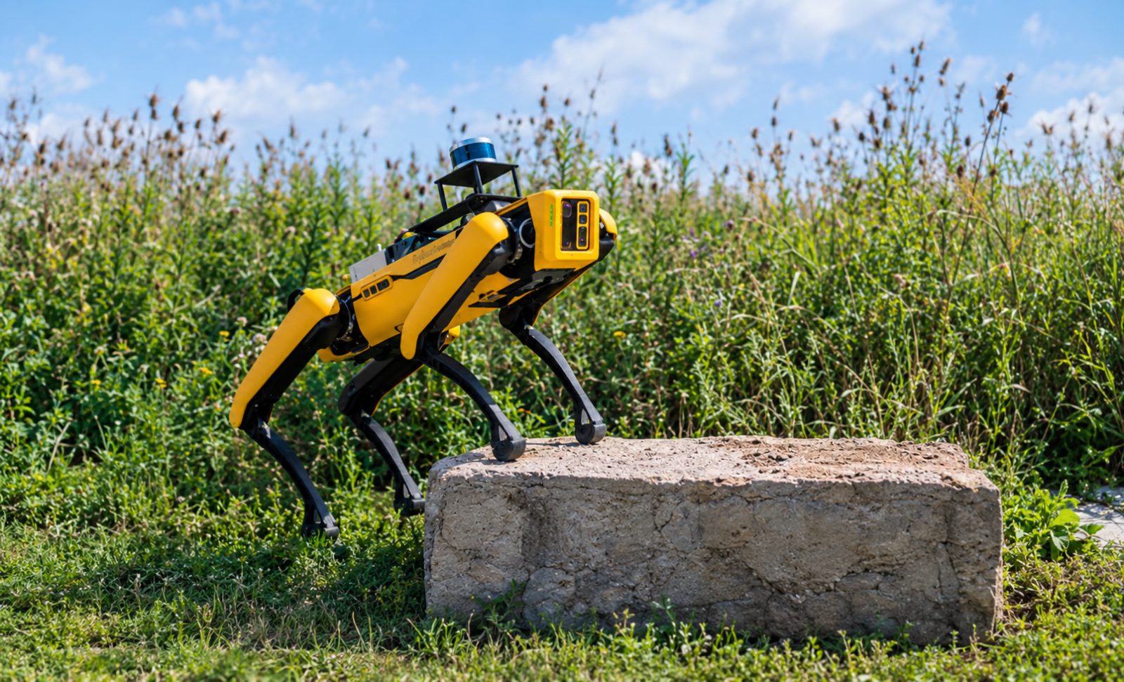 A Quadrupled Robot