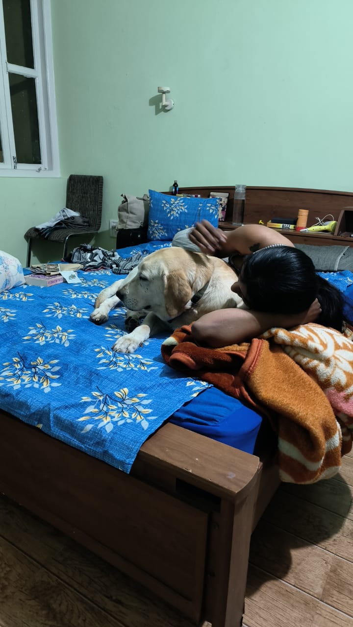 Shakthi’s Pet Home