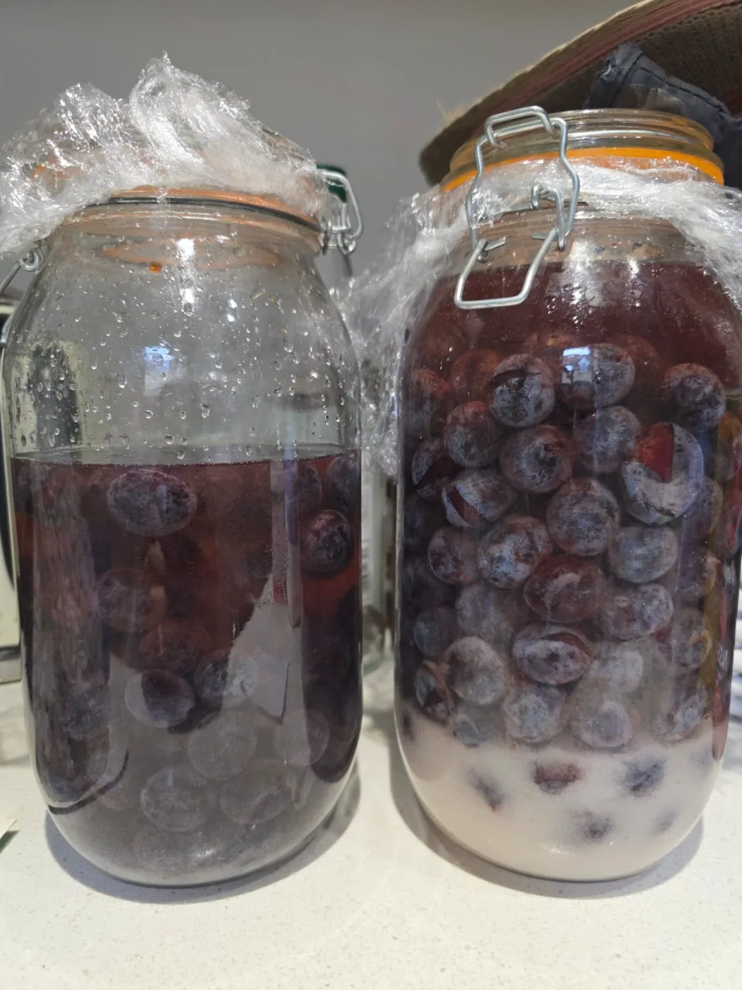 Sloe Gin (or bullace or damsons!)