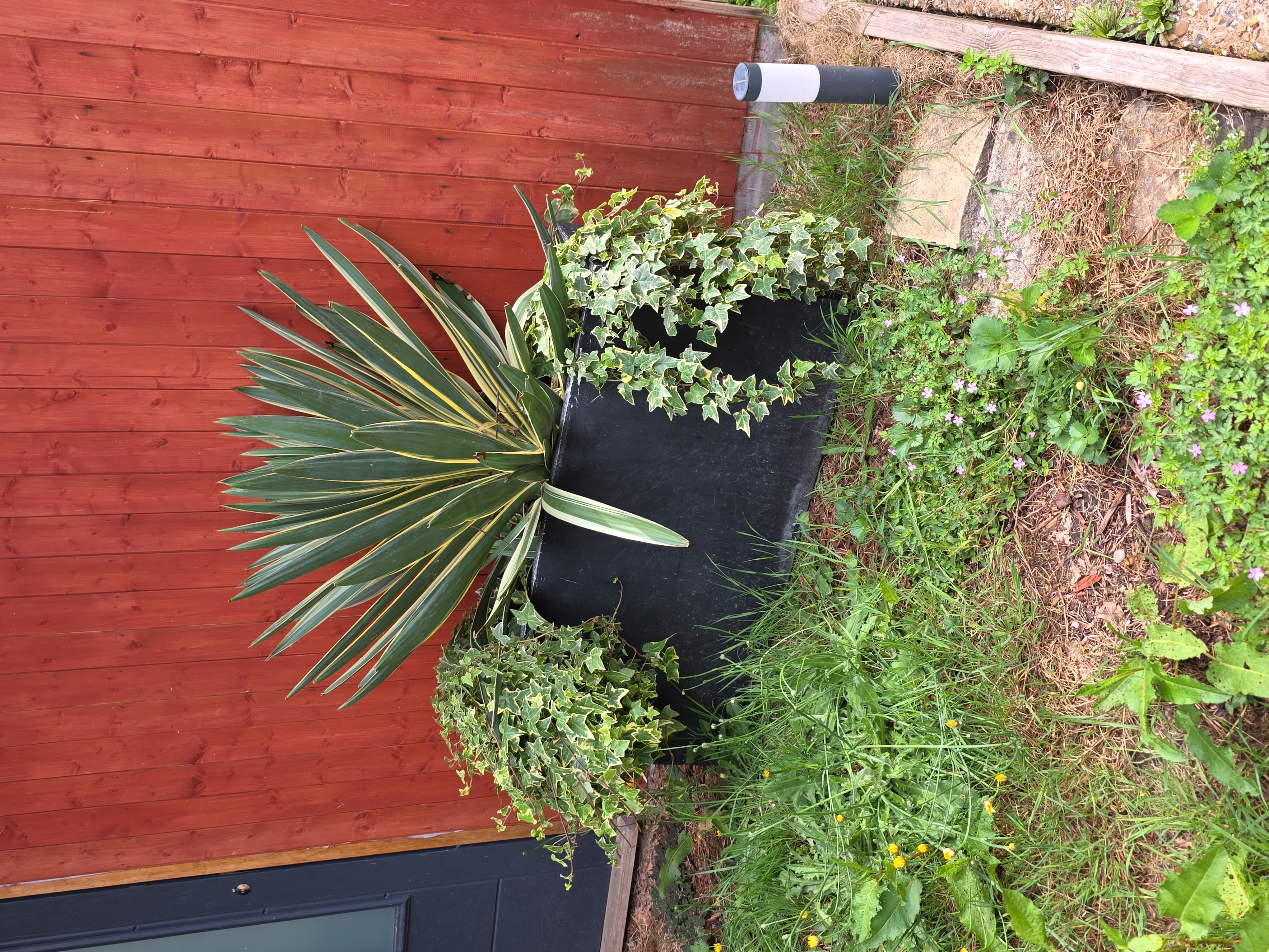 Planter