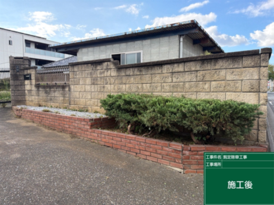 さいたま市敷地内草刈り、刈込み工事 施工後