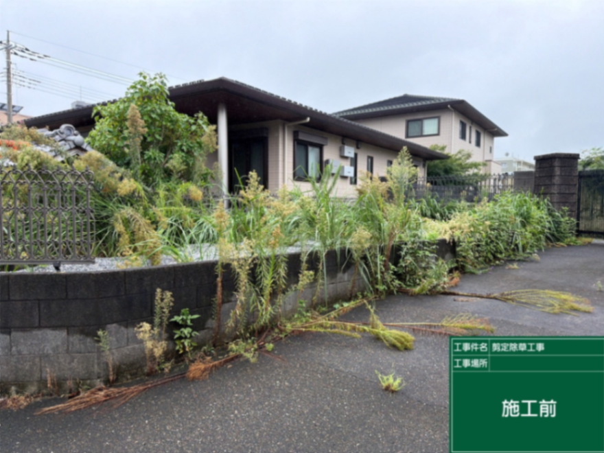 さいたま市敷地内草刈り、刈込み工事 施工前
