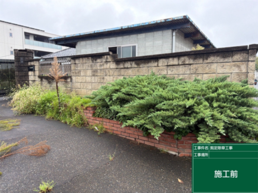 さいたま市敷地内草刈り、刈込み工事 施工前