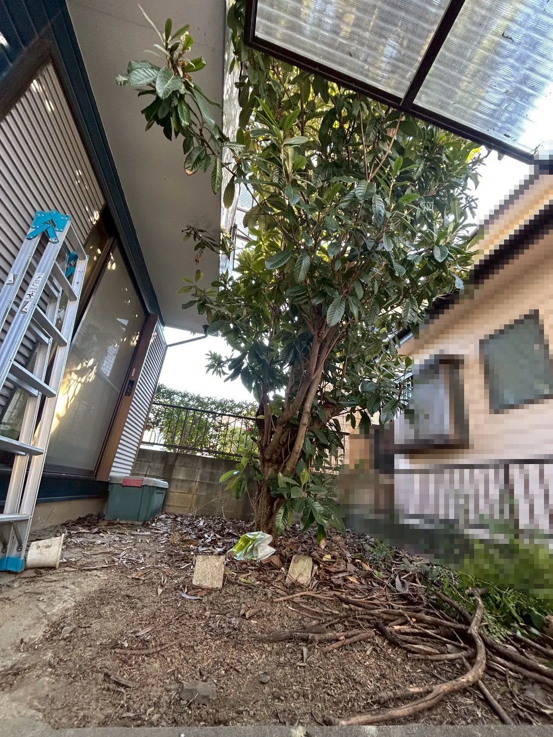 花壇新設工事 施工前