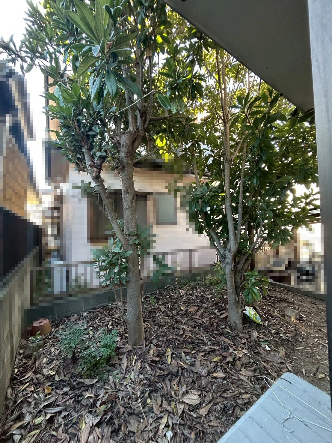 花壇新設工事 施工前