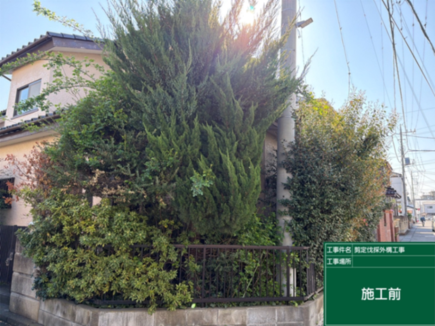 剪定、伐採、砂利敷設工事 施工前
