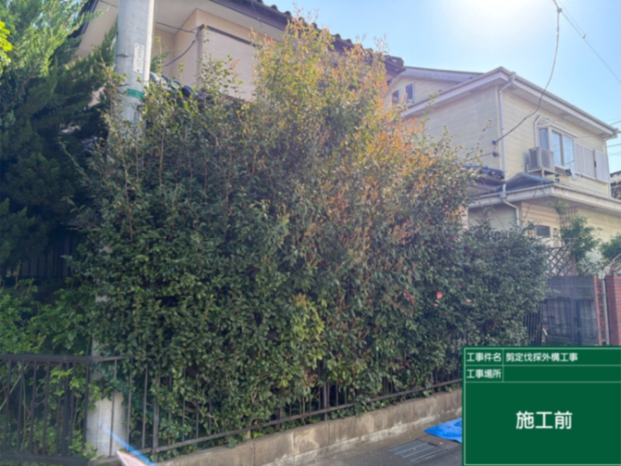 剪定、伐採、砂利敷設工事 施工前