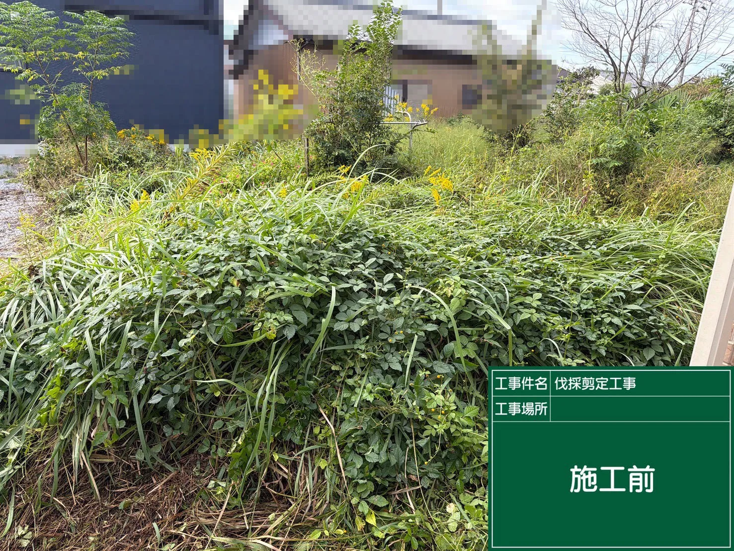 化粧砂利敷設工事 施工前