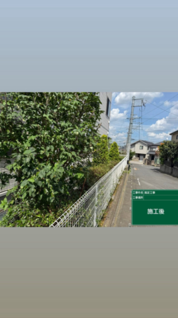 さいたま市施設周り剪定工事 施工後