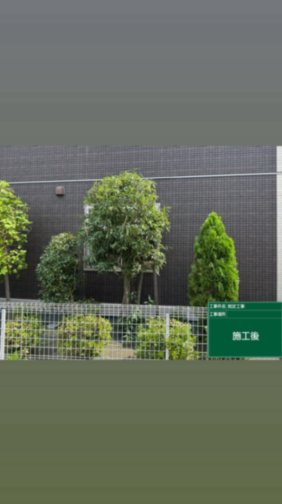 さいたま市施設周り剪定工事 施工後