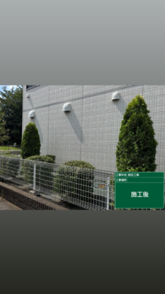 さいたま市施設周り剪定工事