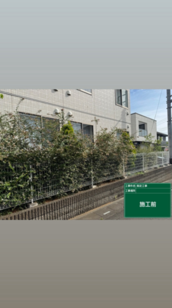 さいたま市施設周り剪定工事 施工前