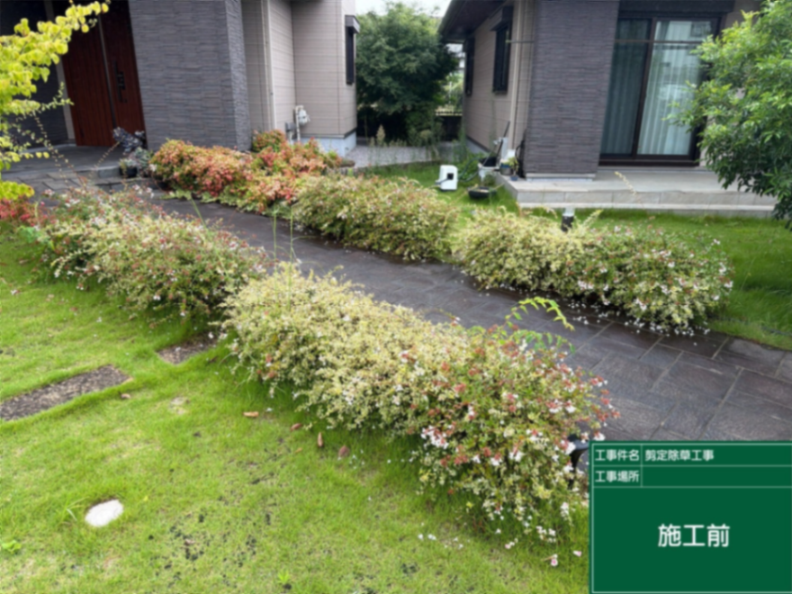 さいたま市庭園刈り込み工事 施工前